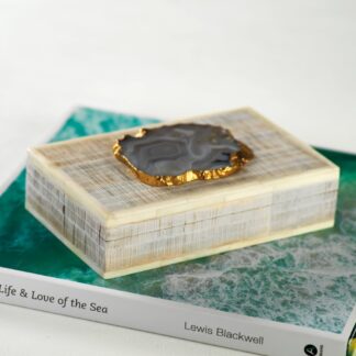 Chiseled Mangowood & Bone Storage Box with Agate Stone