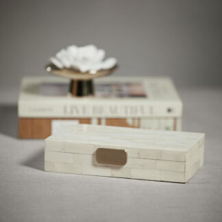 White Bone Storage Box with Brass Knob